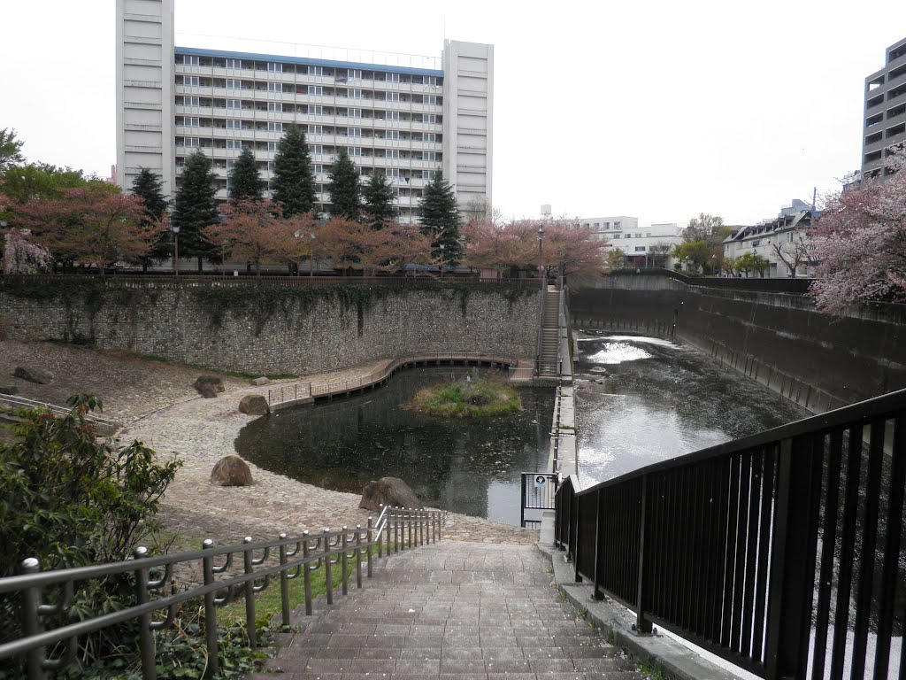 北区音無もみじ緑地公園 by ogabo