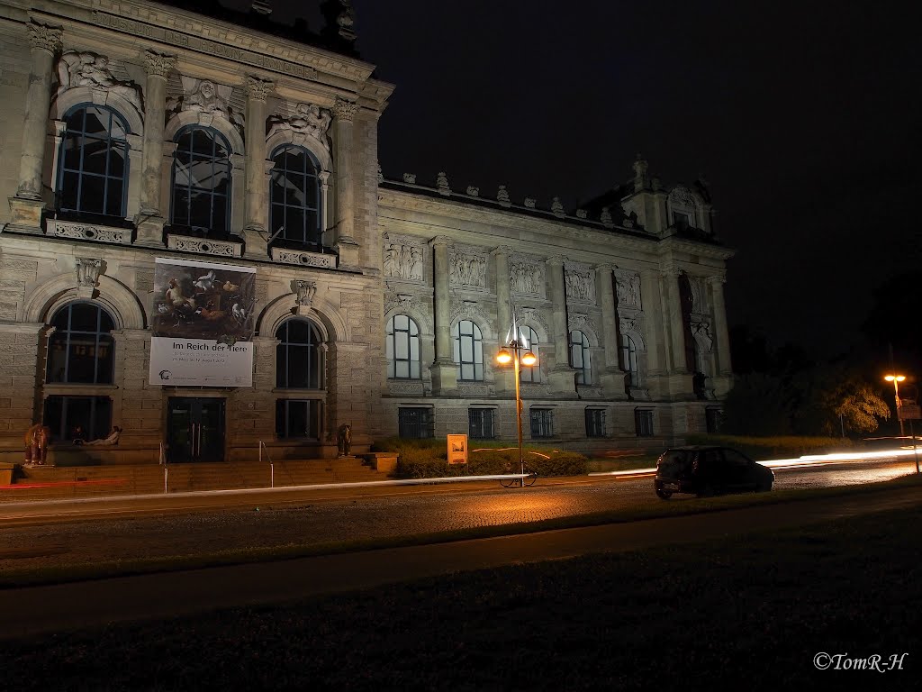 Landesmuseum, Hannover by TomR-H