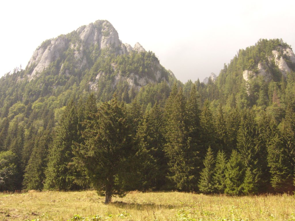 Buşteni, Romania by adymarian1980