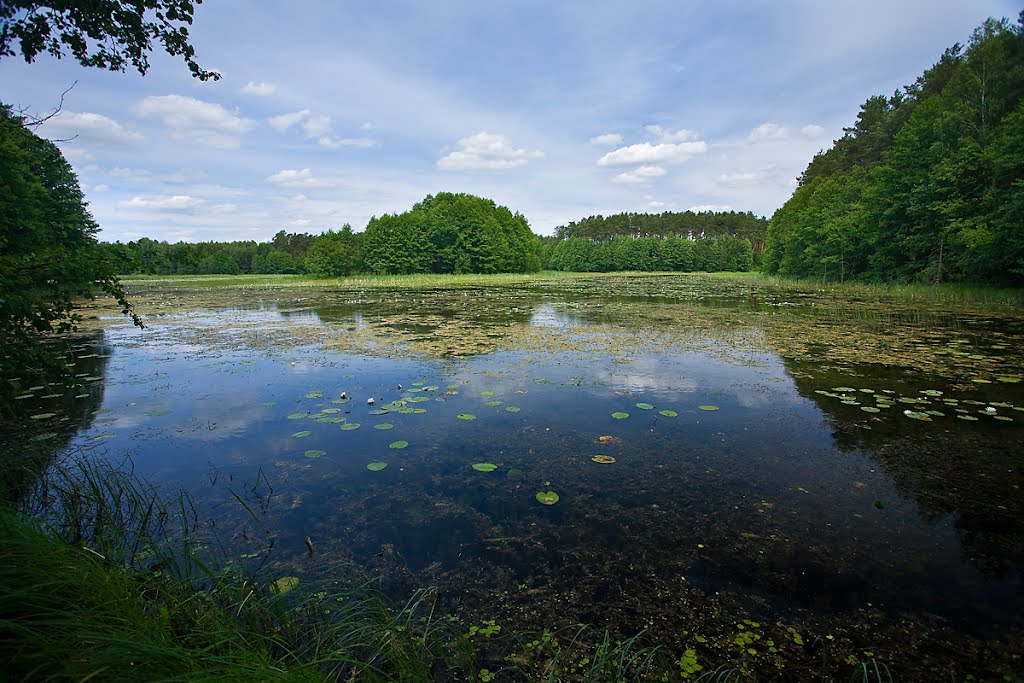 Lake (NN) near Minikowo by Jerzy Bartosik