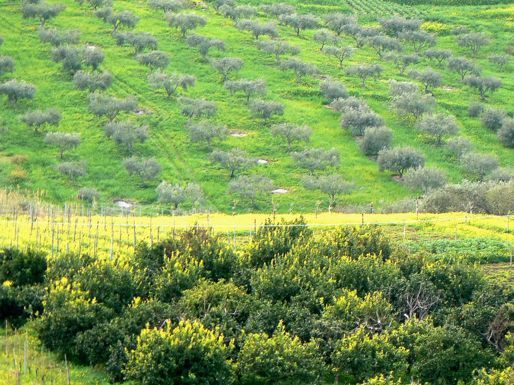 Rodì, messina by Nicola e Pina in Sicilia