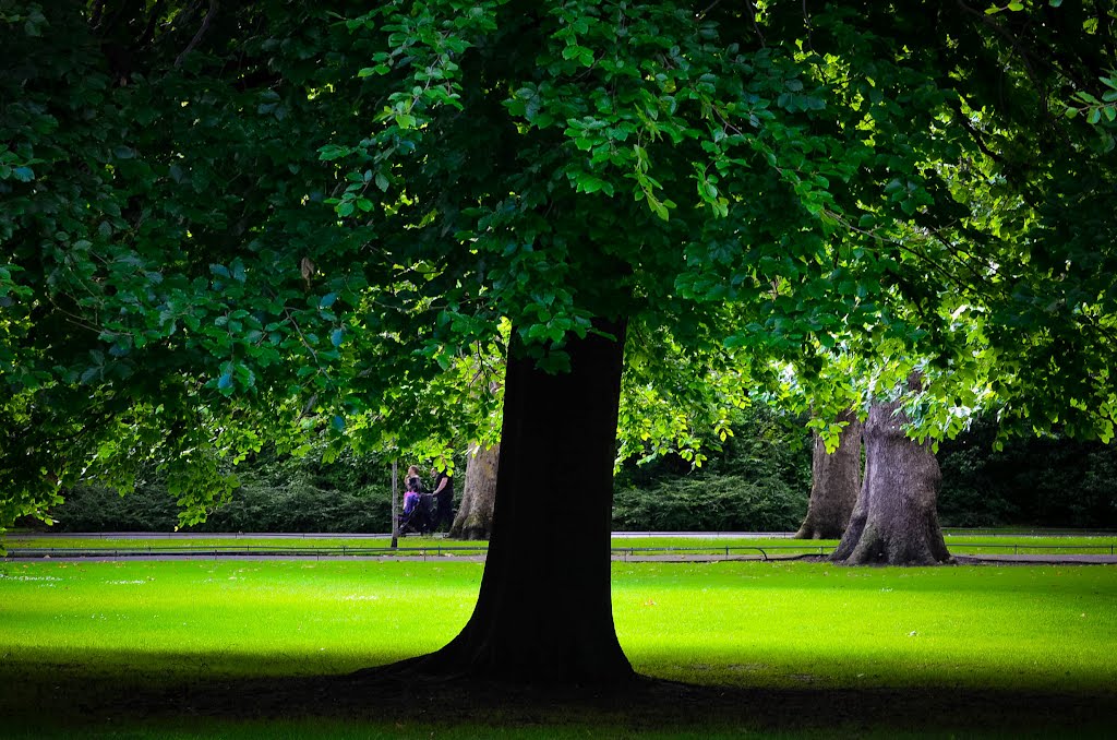 Stephen's Green Park - Dublin - Ireland by Juno Bengochea