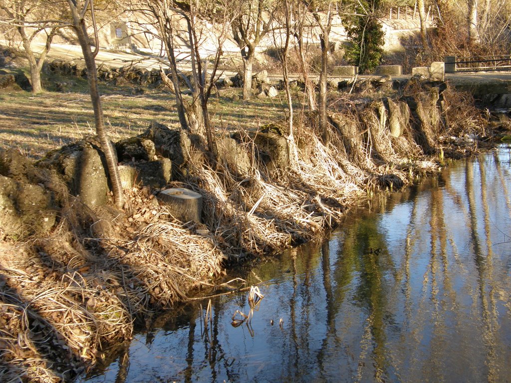 Ribera de invierno by Alberto Asensio