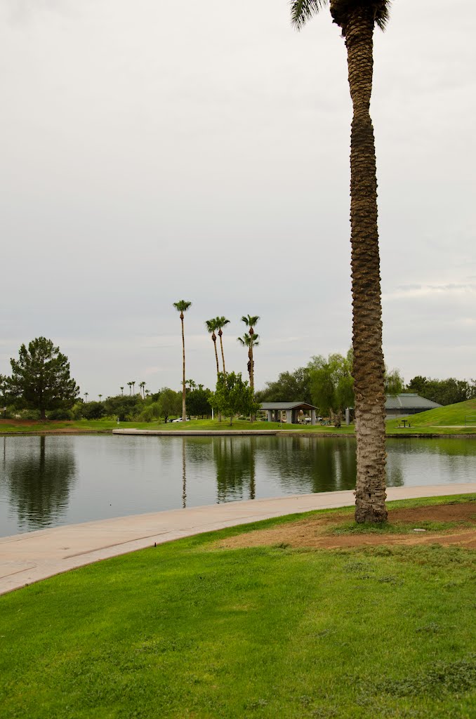 Freestone Park, Gilbert, Arizona by davidpinter