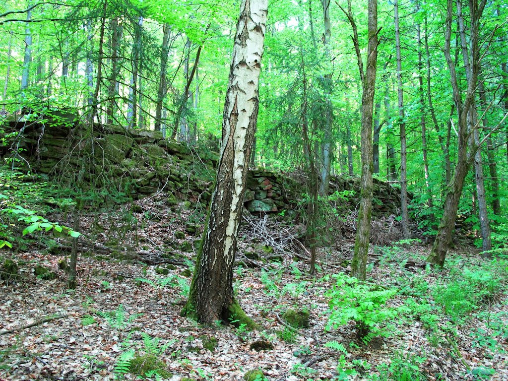 Mauerreste beim Aussichtsturm im Großen Wald by lebola