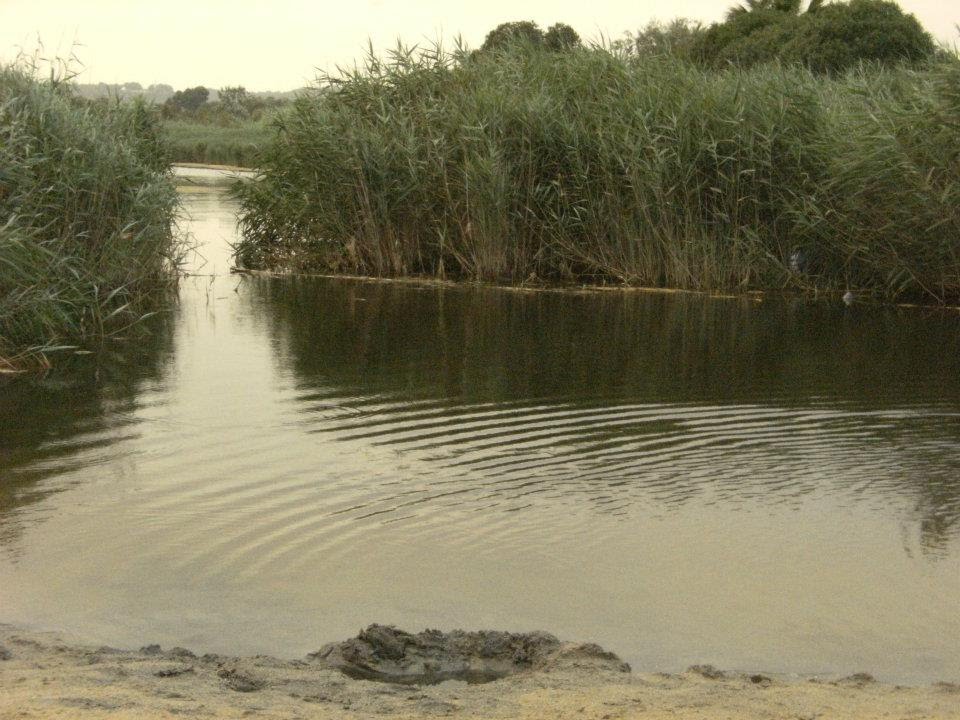 Desembocadura riu Gaià by Ricard de Aróstegui