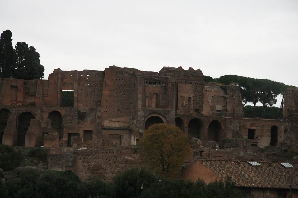 Roma by Robert Radesic