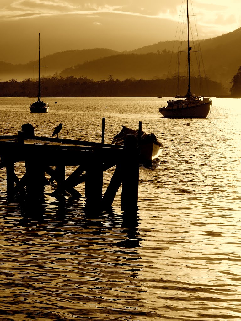 Franklin, Huon River by deanoz