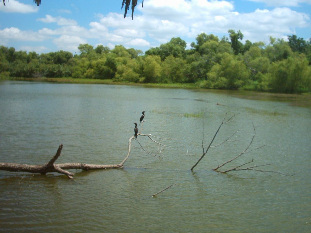 Lake In the Sanctuary by MLitvinovich