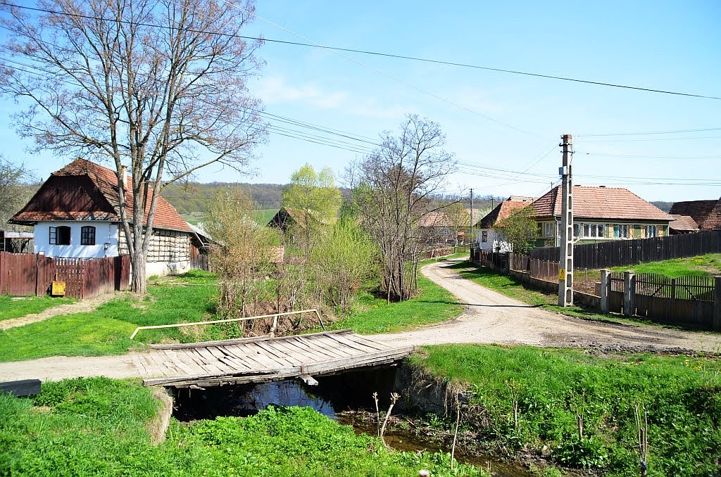 Bögöz, a Kányádi patak by Csedő Attila