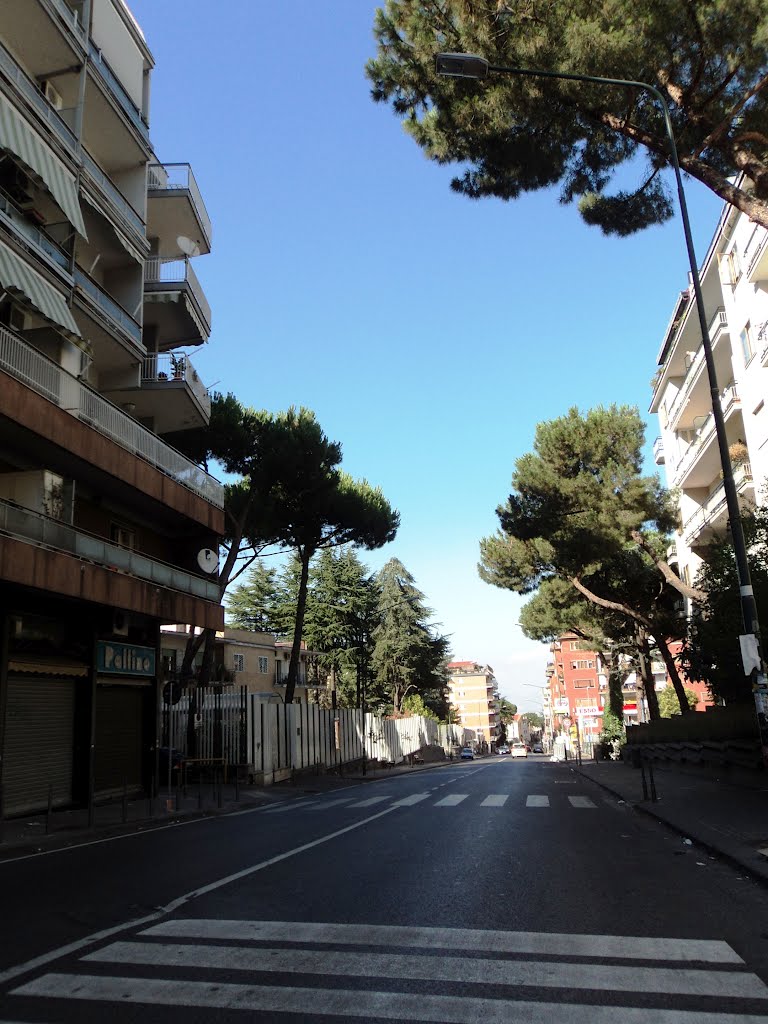 Viale Colli Aminei by Geosergio