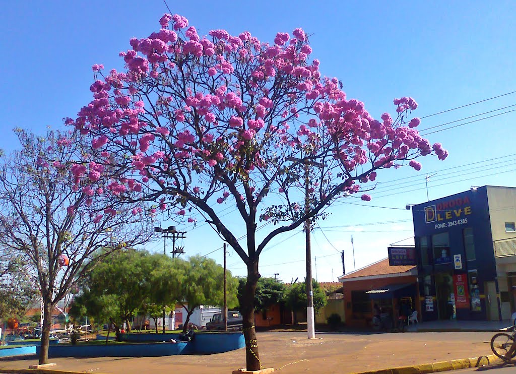 Inverno 2012 - Praça da Bíblia by Tiago Henrique Garcia