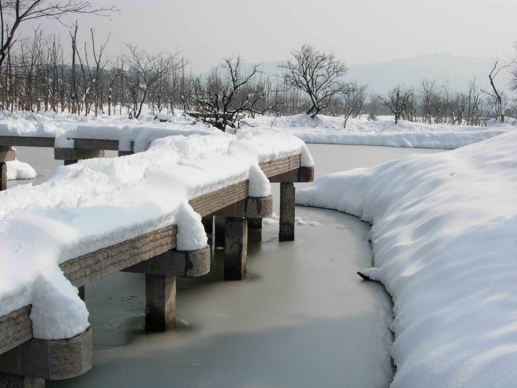 西溪湿地雪景 by hanjiehwt