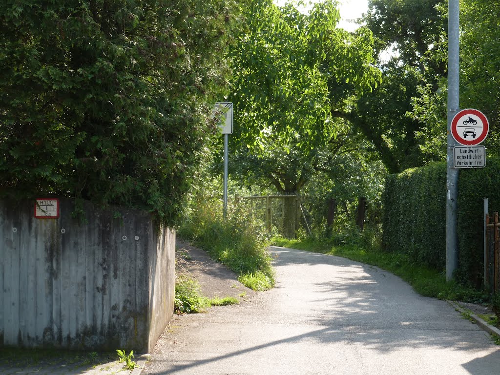 Weg zur S-Bahn-Haltestelle Österfeld und nach Stuttgart-Vaihingen (Juli 2012) by PASK