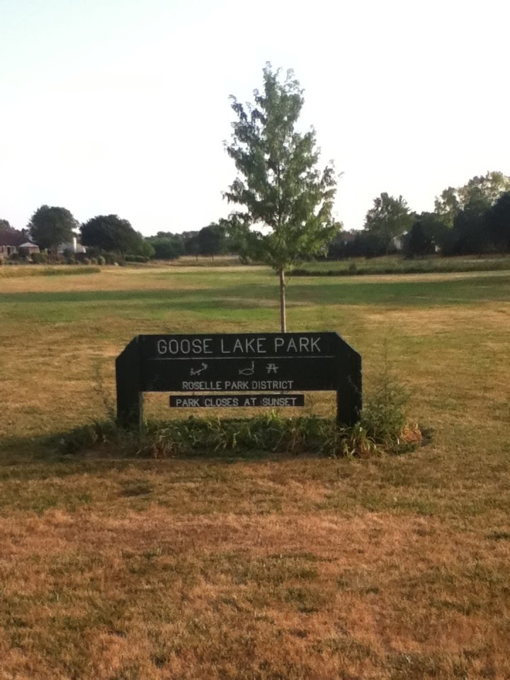 Goose lake park,Roselle by lesleynash