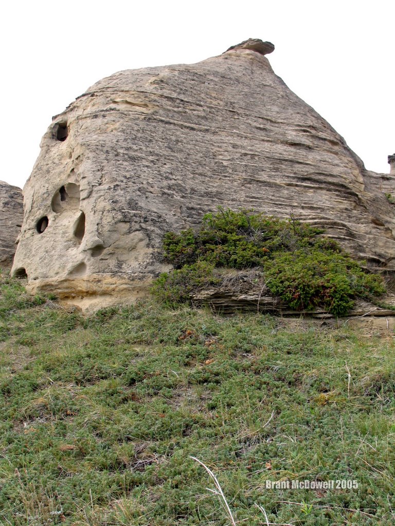 The Bee-Hive: Writing-On-Stone Provincial Park by Brant