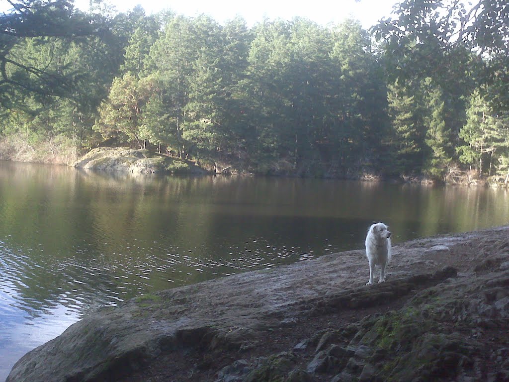 Dharma at Thetis Lake Rock by dnakt