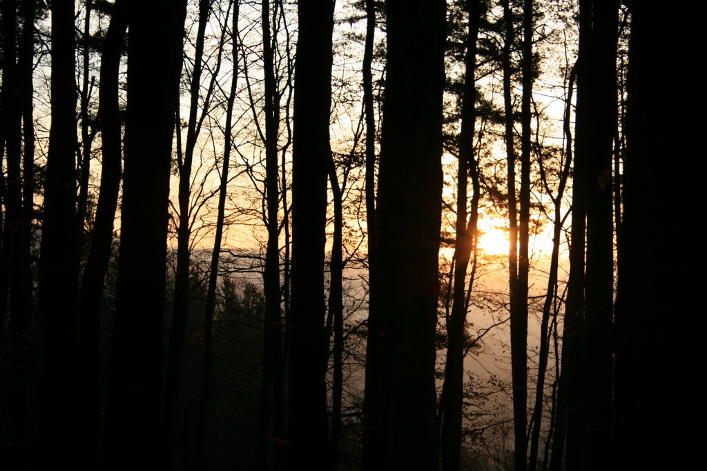 Sonnenaufgang im Wald by RoMo-Märtero