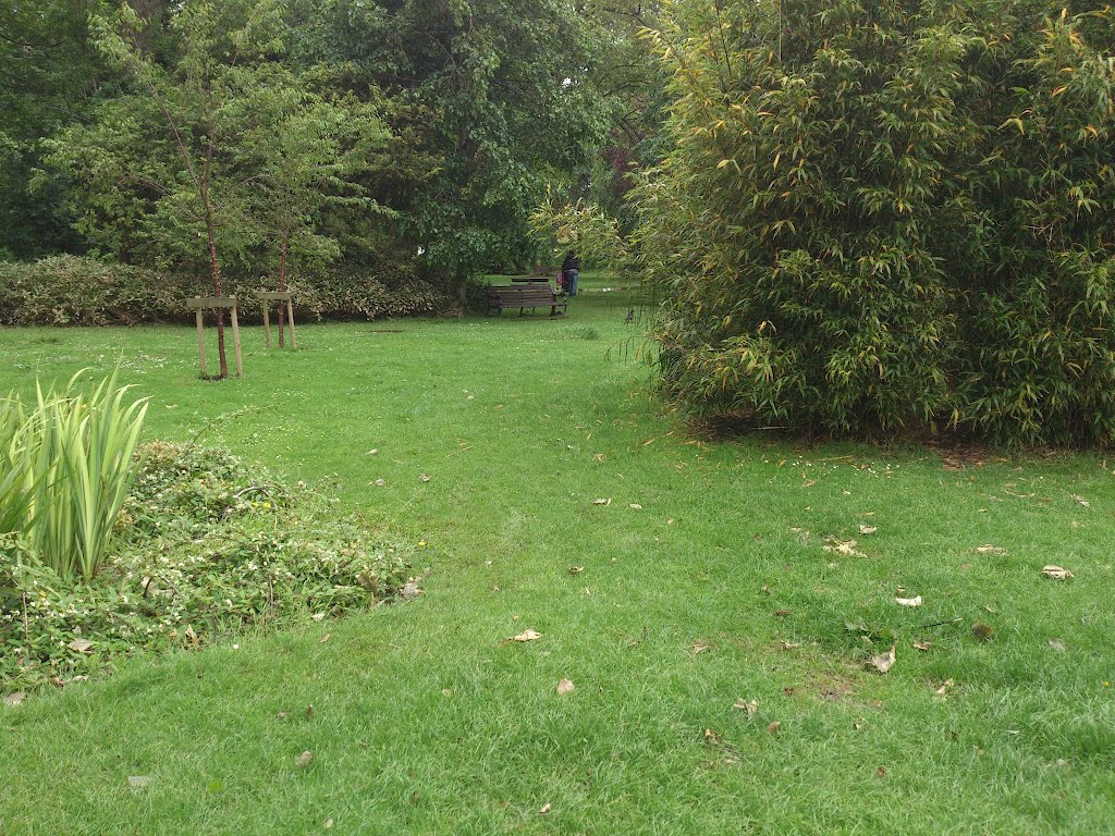 Hotham Park After all the Flash Flooding by Dan Howes