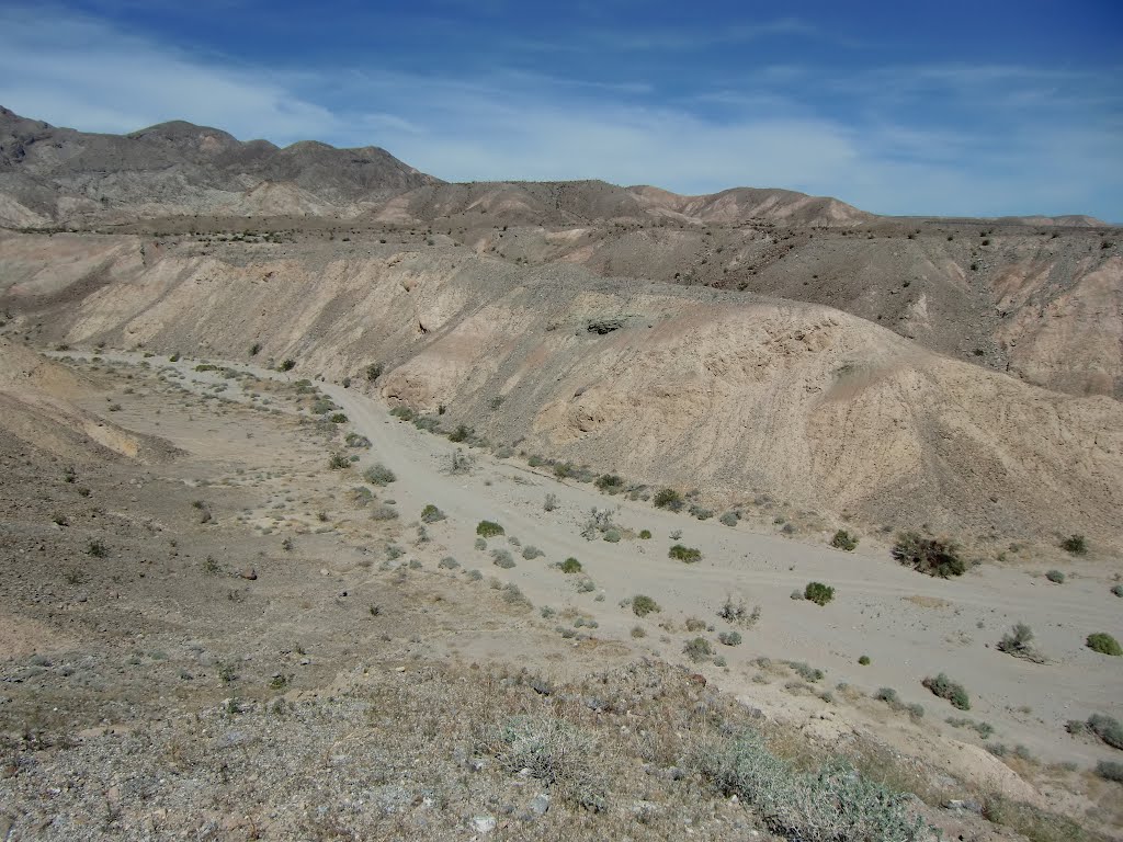 Small Canyon between Borrego Springs Seaway and Calcite Road - March 2011 by Dirk H.