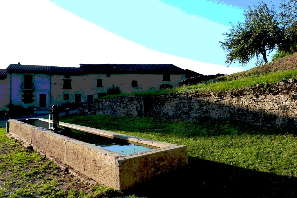 Fontaine du lavoir à Gigny (Jura) by Alain TREBOZ