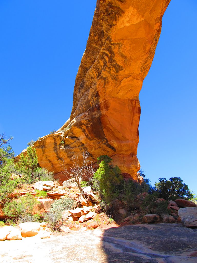 Natural Bridges National Monument by M.Tijssen