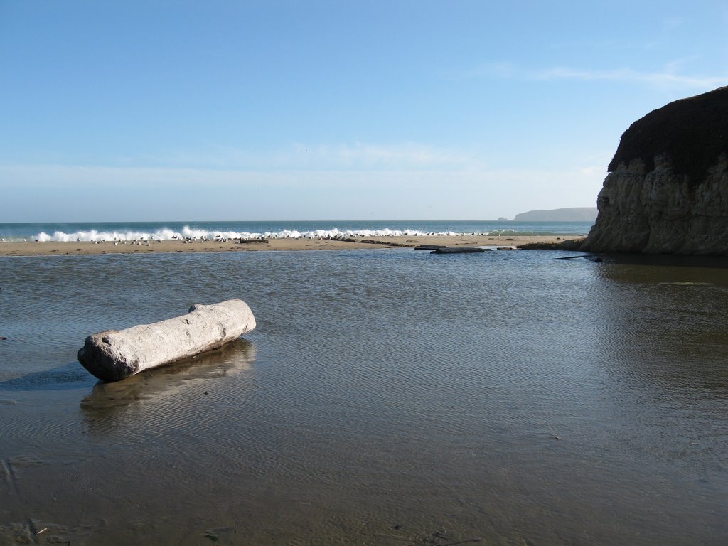 Point Reyes by ksk73