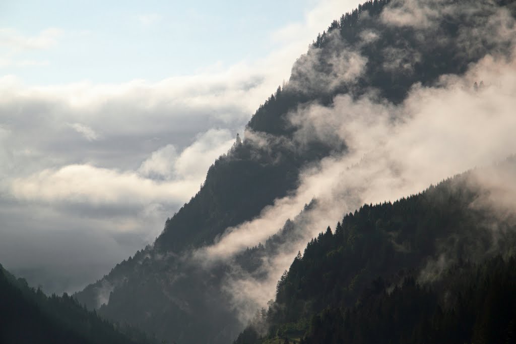 Saalach, Viehhofen, Salzburg, Österreich by Roger Coenders