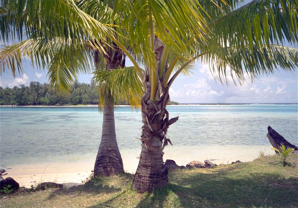 Moorea, face au Motu Tiahura 02.1996 by Jean-Luc.