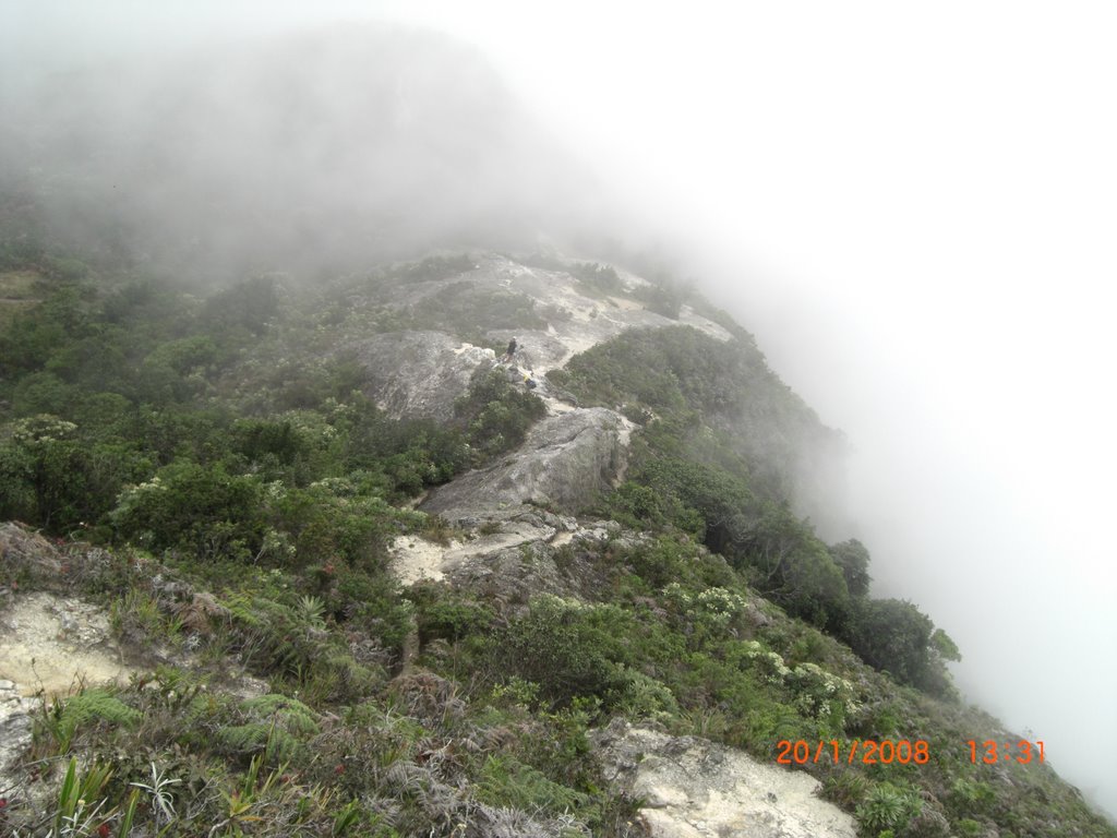 Lagunazo by Edward Rodriguez