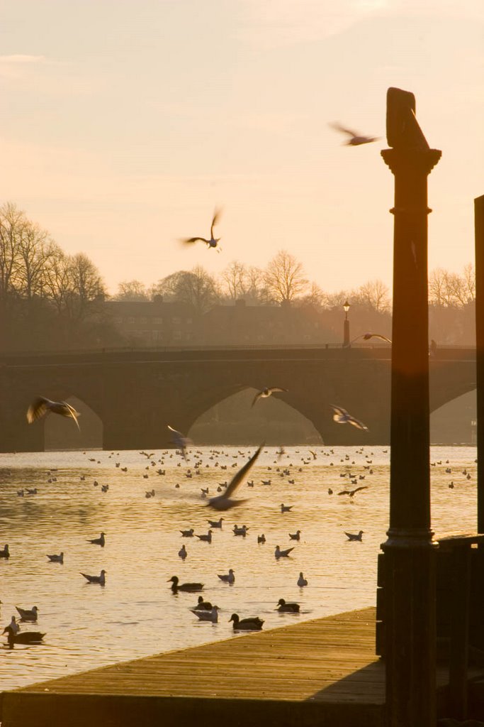 By The River Dee by sarahc