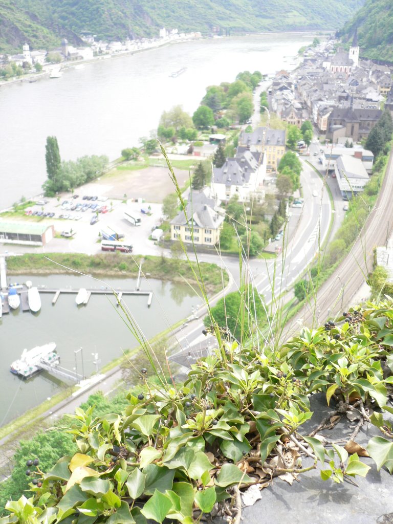 Sankt Goar, Ausblick von Schloss Rheinfels by Lars Paterok