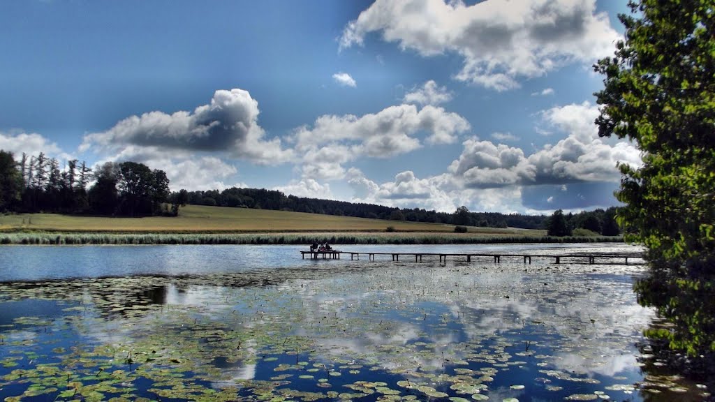 Guggenhauser Weiher / Gemeinde Altshausen, Landkreis Ravensburg by Dachsbracke