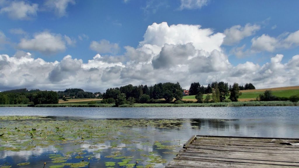 Guggenhauser Weiher / Gemeinde Altshausen, Landkreis Ravensburg by Dachsbracke