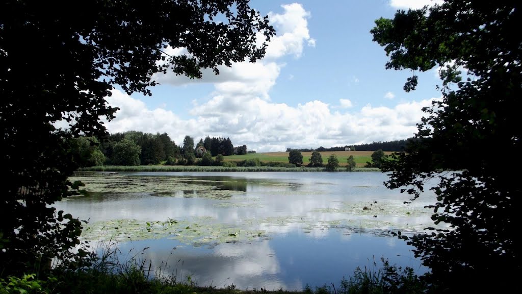 Guggenhauser Weiher / Gemeinde Altshausen, Landkreis Ravensburg by Dachsbracke