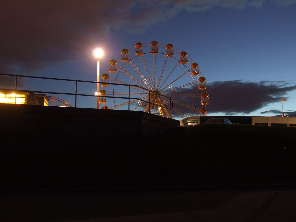 Codonas in the evening by Alekaberdeen