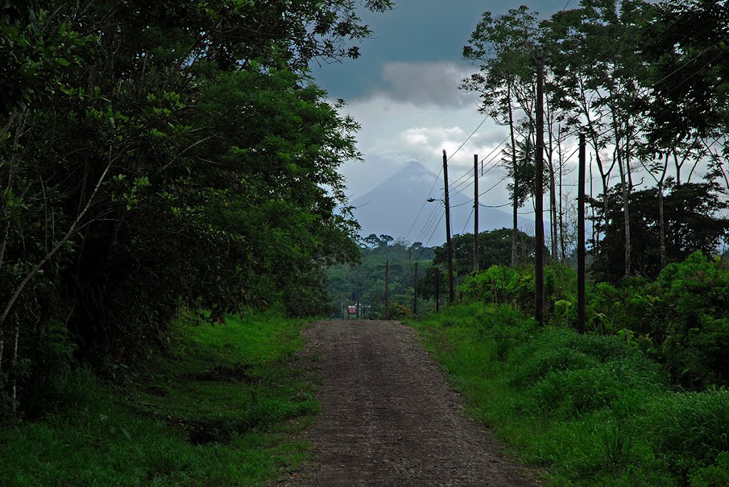 La Palmera road to the river by Alan C. Pickard