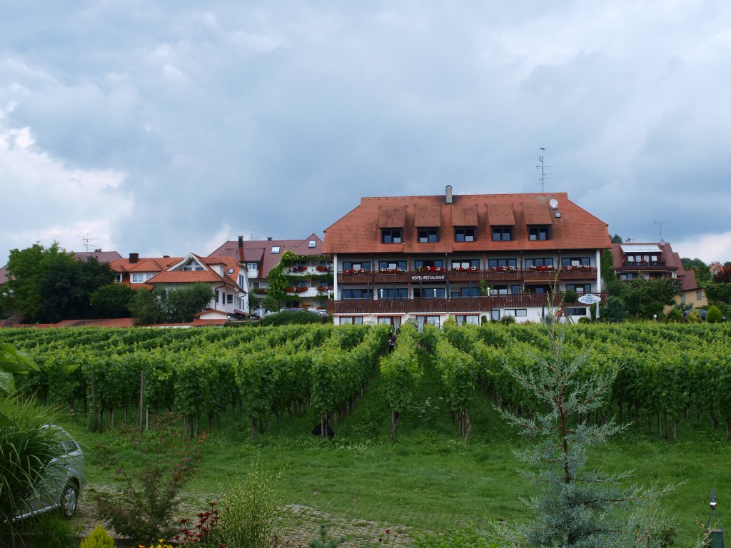 Feiner Blick über Reben zum Hagnauer "Hotel Hansjakob" by ReinhardKlenke