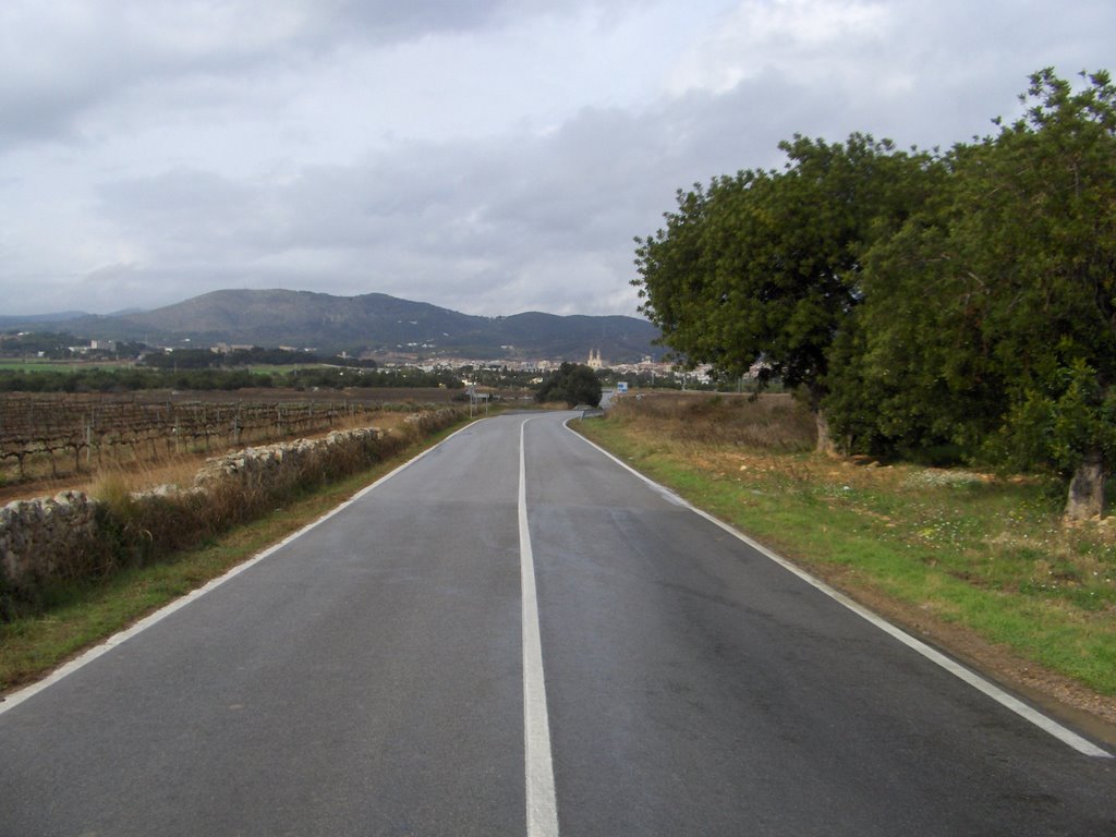 Carretera de sitges a sant pere de ribas by jlluchpeluts