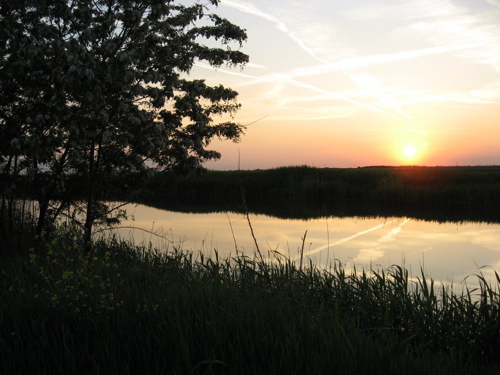 Sunset on river BEGEJ by mdrmoncic