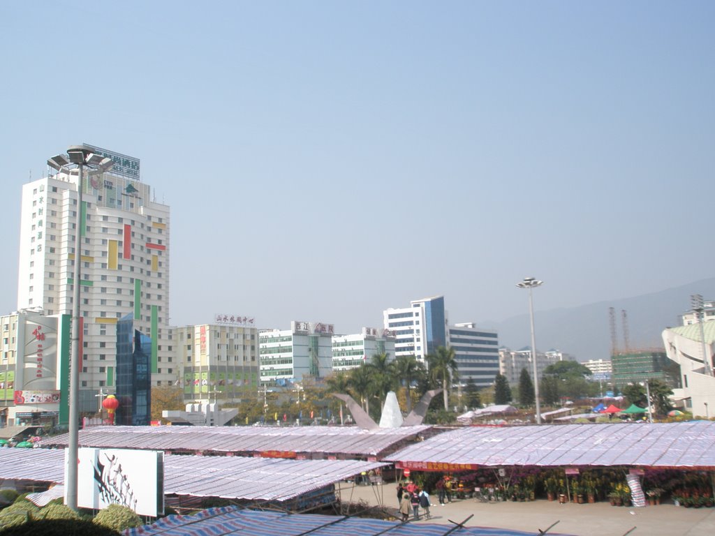 2008 Flower market of Zhaoqing by 钟启明