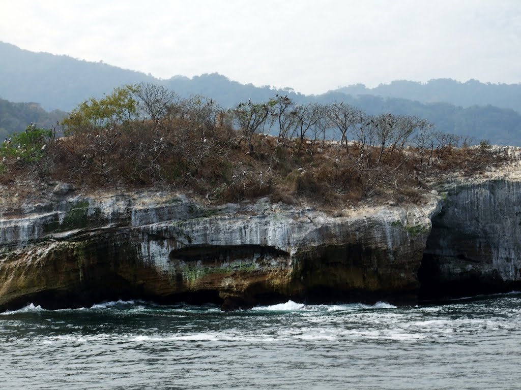 Isla Roca Los Arcos, beyond Puerto Vallarta by Amanda Wood