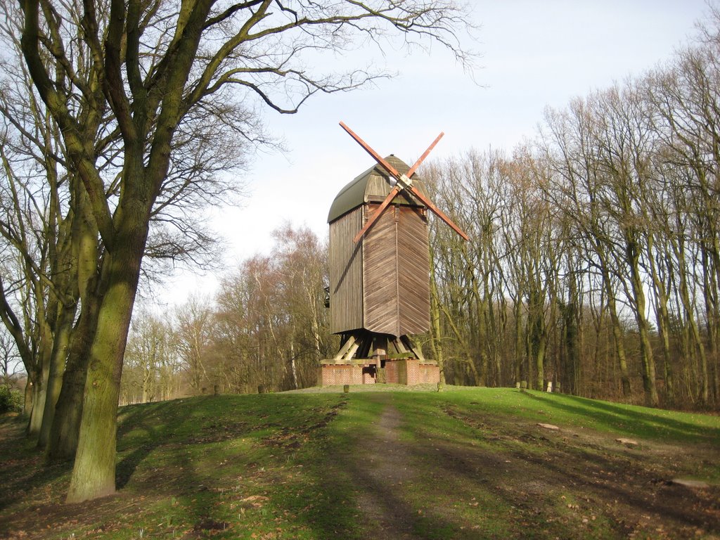 Speckenbütteler Park - Bockwindmühle by Robert-68