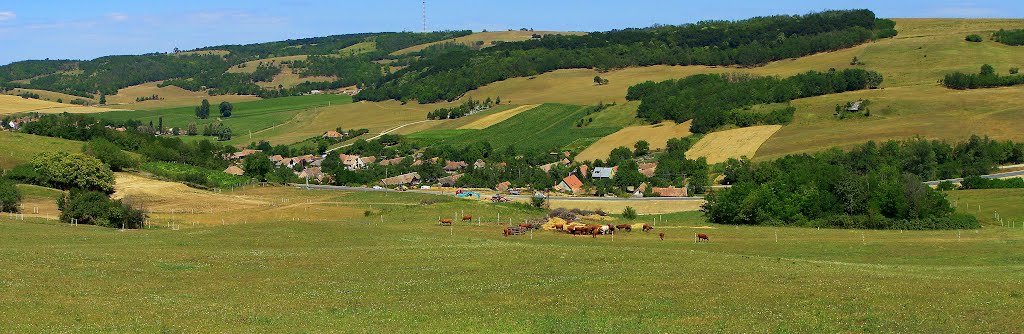 A Lullai völgy by Kovács /Kari/ Károly