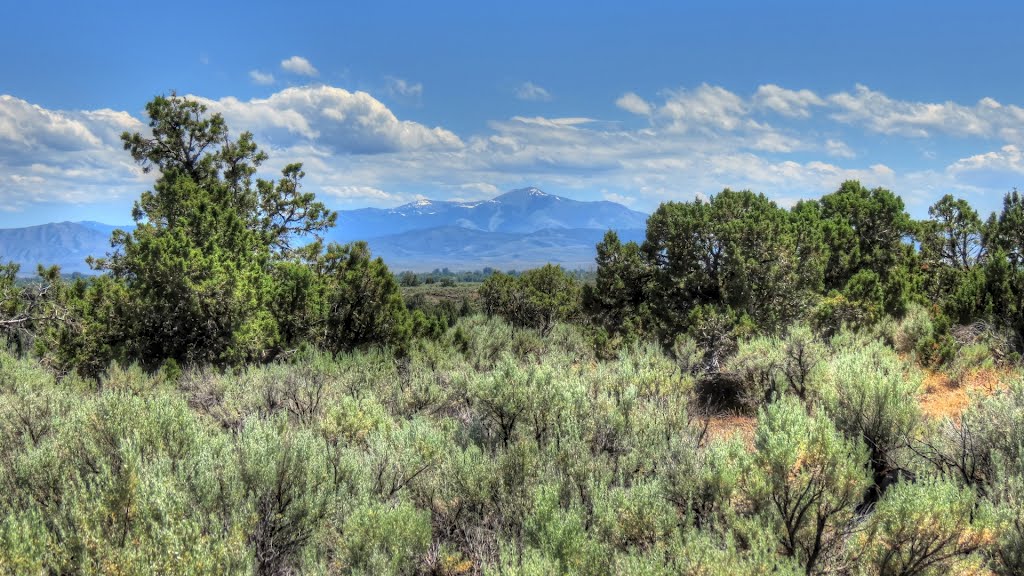 Lava Fields, Blackfoot Idaho by Juan234