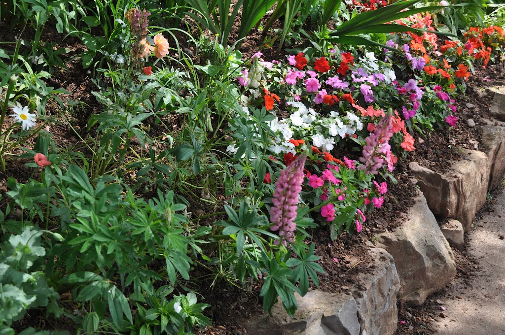 Tiverton : Exe Valley Leisure Centre Flowerbed by A Photographer