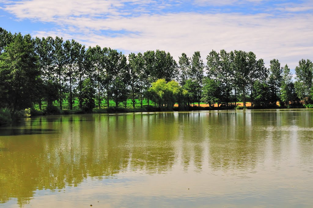 Etang chezeneuve by randalain