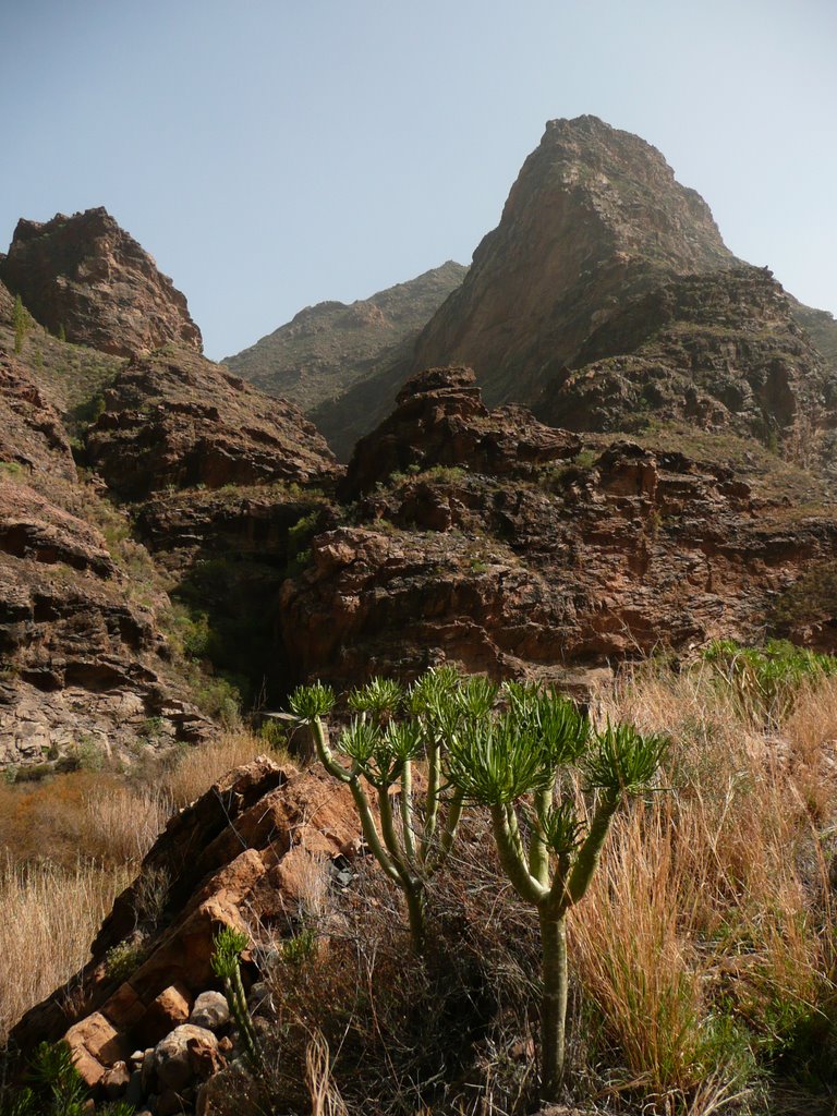 Barranco del Silo - Gran Canaria by felix.widmer