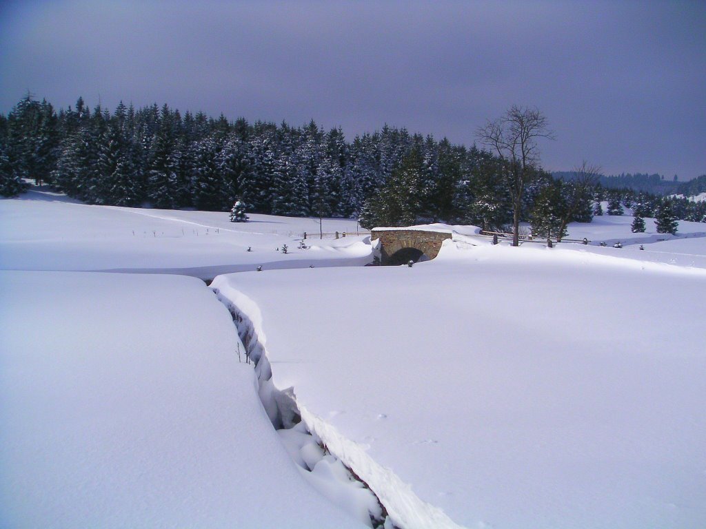 Schwarzwasser-Tal by eduardpaul