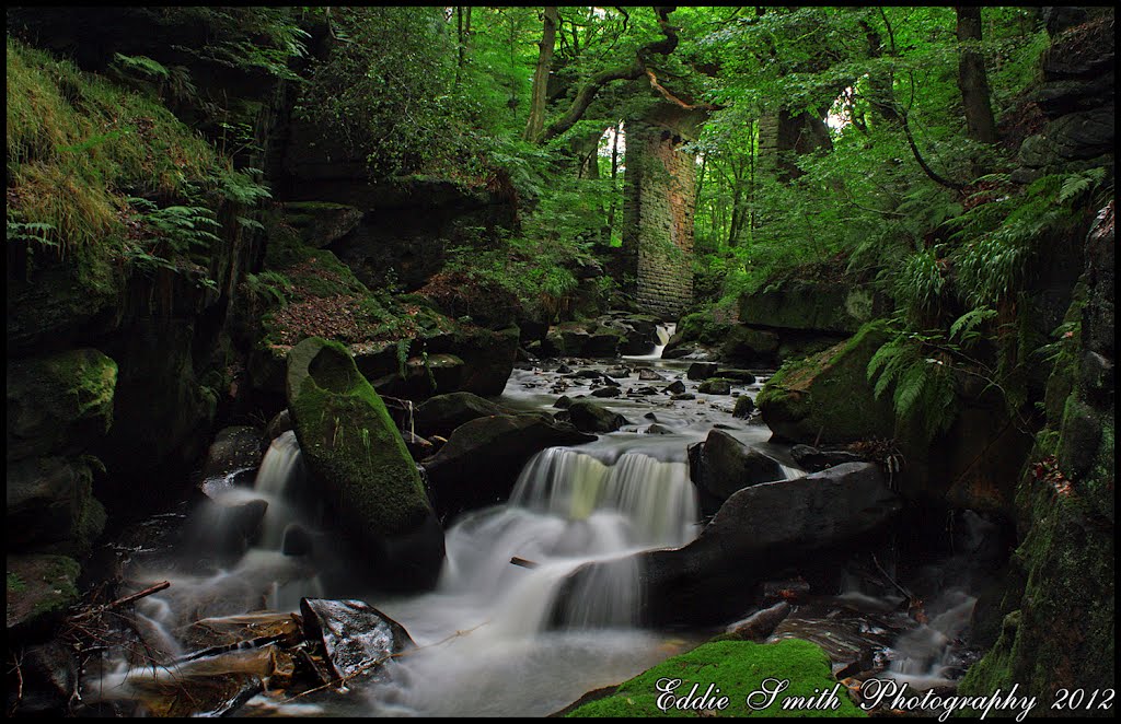 Healey Dell by Edward Smith